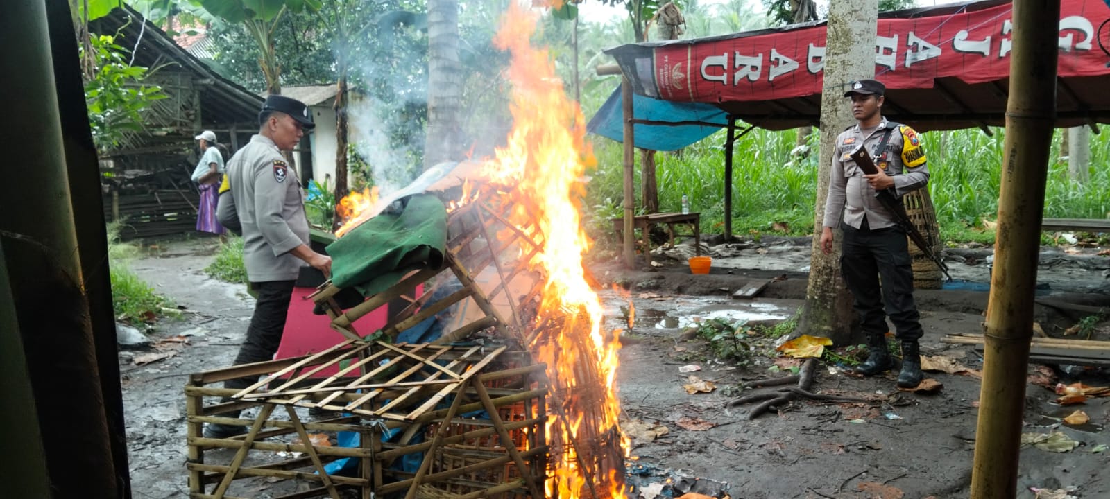 Laporan “Laporke Cak Kapolres” Berbuah Tindakan, Polisi Bubarkan Sabung Ayam di Ranuyoso