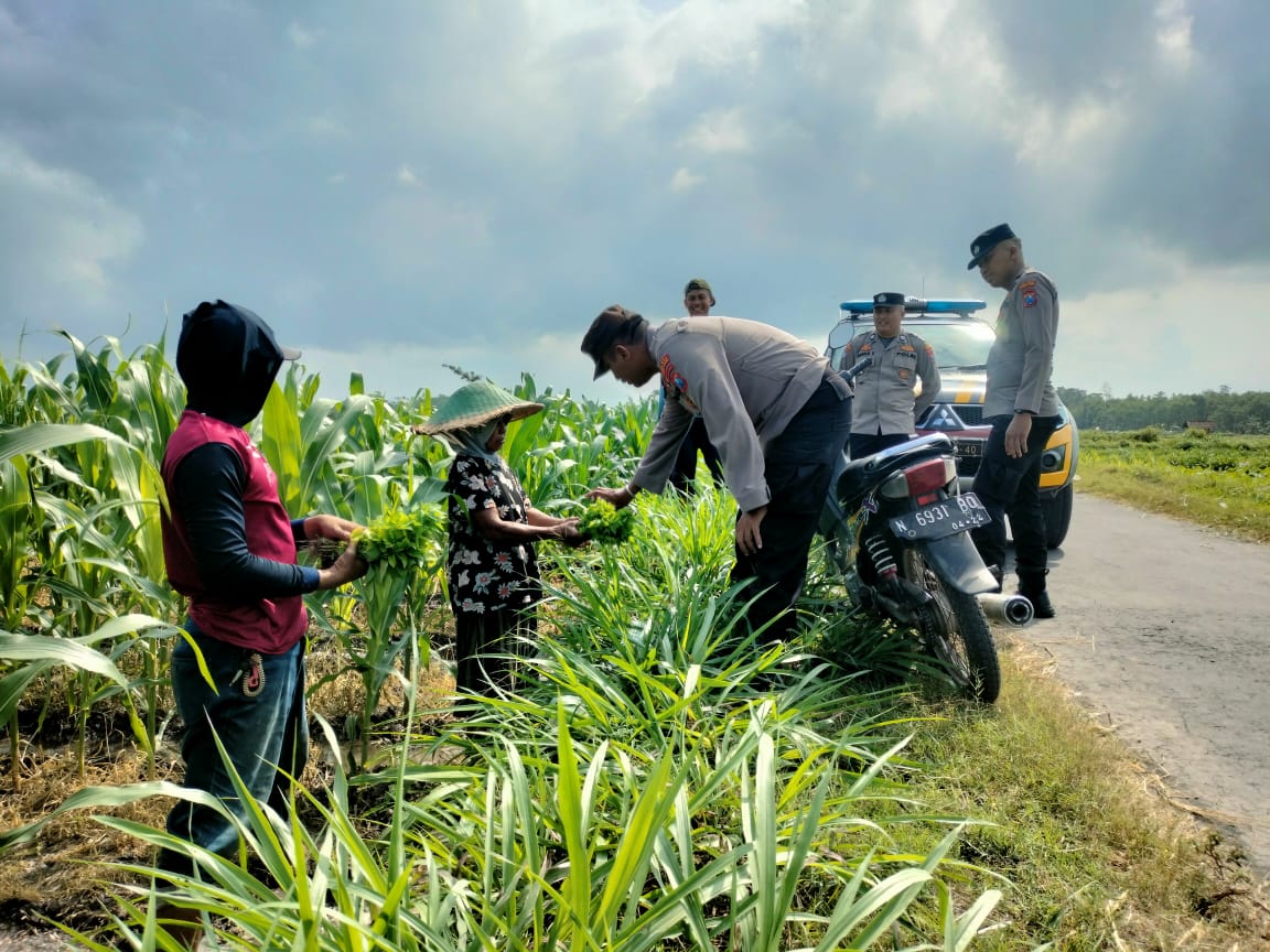 Polri Dukung Program Asta Cita Presiden "Ketahanan Pangan Nasional" Melalui Serap Aspirasi Para Petani