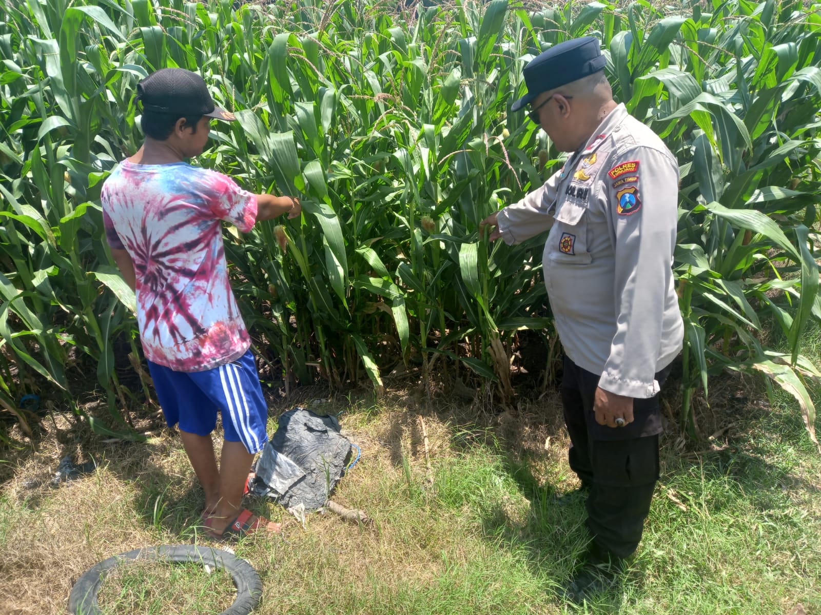 KAPOLSEK YOSOWILANGUN BERSAMA DENGAN BHABINKAMTIBMAS DUKUNG PROGRAM KETAHANAN PANGAN
