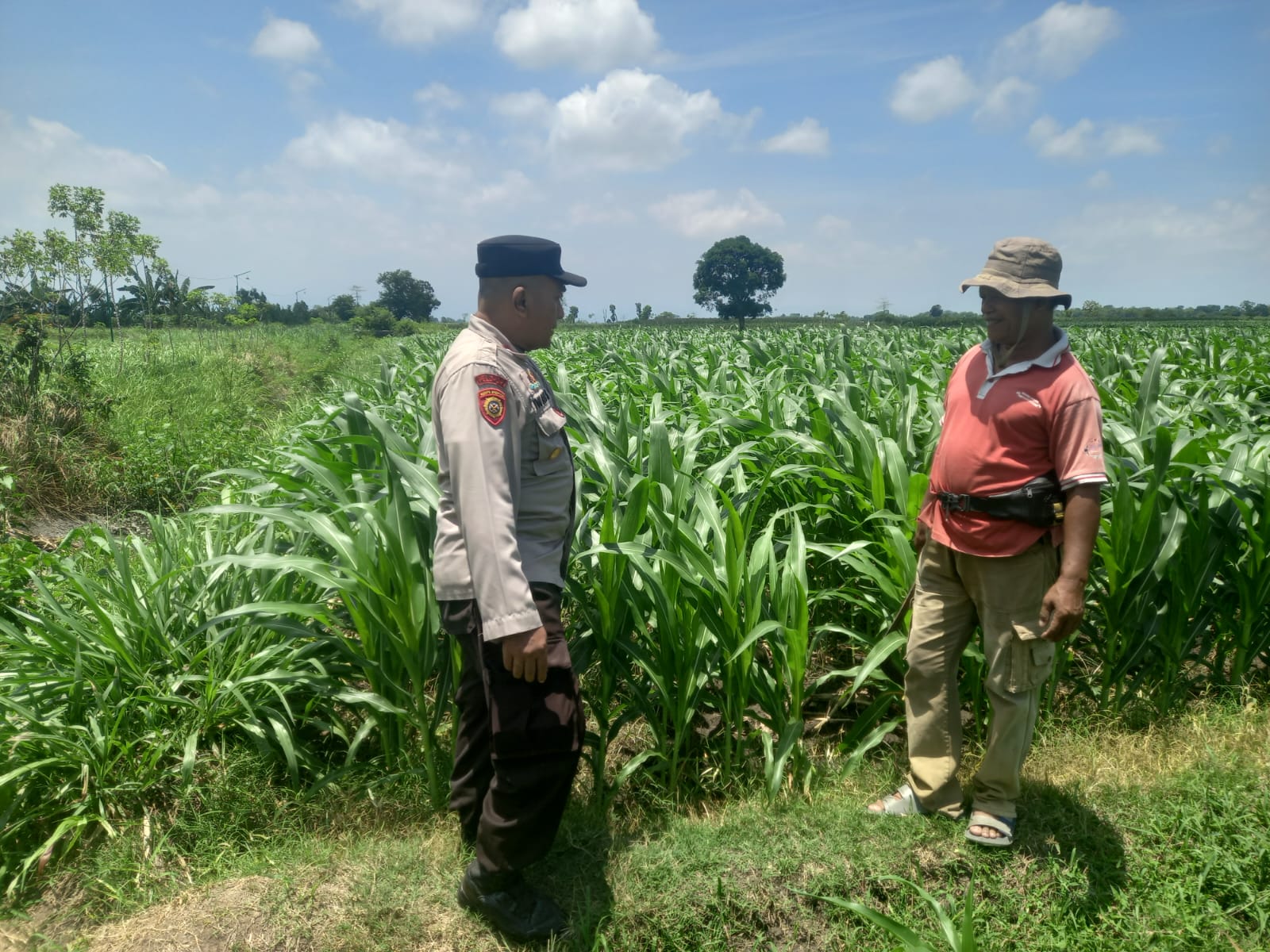 Kapolsek Yosowilangun dan Bhabinkamtibmas Perkuat Ketahanan Pangan Melalui Pendampingan Petani