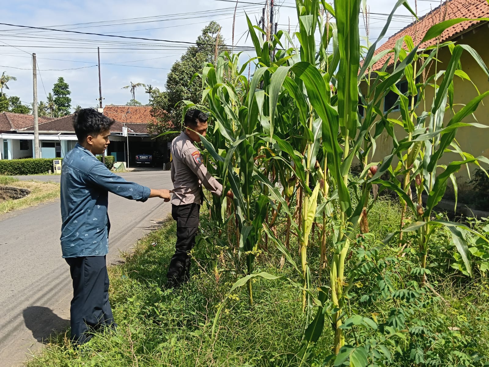 Bhabinkamtibmas Polsek Randuagung Perkuat Dukungan Program Ketahanan Pangan Melalui Pendampingan Sektor Pertanian