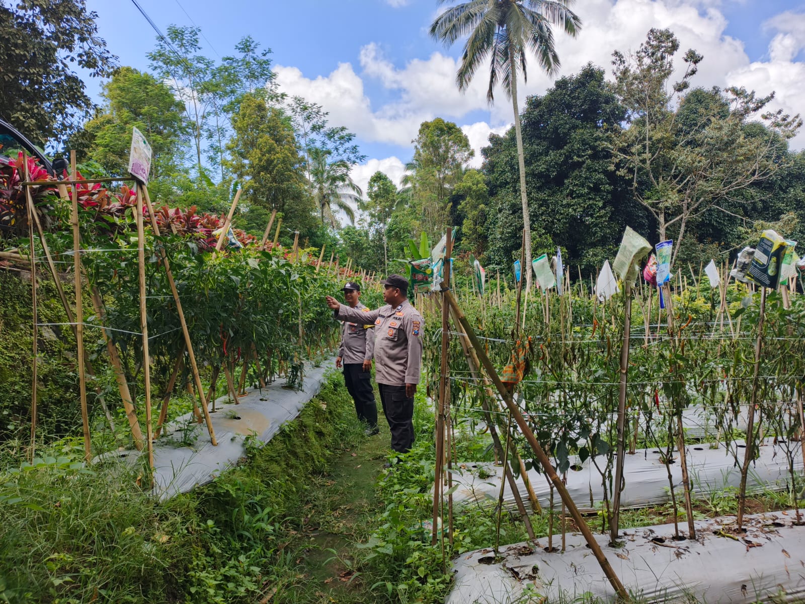 Bhabinkamtibmas Polsek Gucialit Perkuat Pendampingan Warga untuk Mendukung Program Ketahanan Pangan Nasional