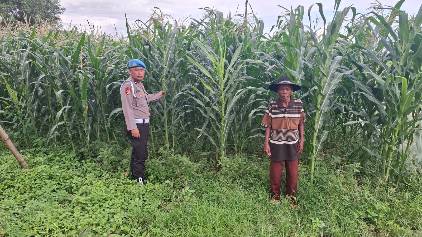 KAPOLSEK YOSOWILANGUN BERSAMA DENGAN BHABINKAMTIBMAS DUKUNG PROGRAM KETAHANAN PANGAN