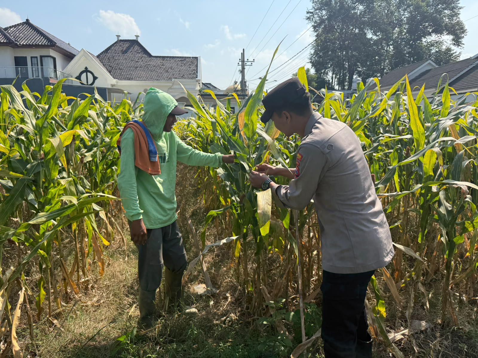 Bhabinkamtibmas Desa Pulo Turun ke Sawah, Serap Aspirasi Petani untuk Perkuat Ketahanan Pangan Nasional
