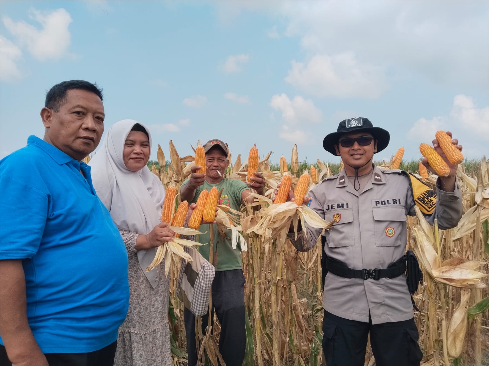 Bhabinkamtibmas Polsek Yosowilangun Dukung Ketahanan Pangan melalui Panen Jagung Bersama Warga