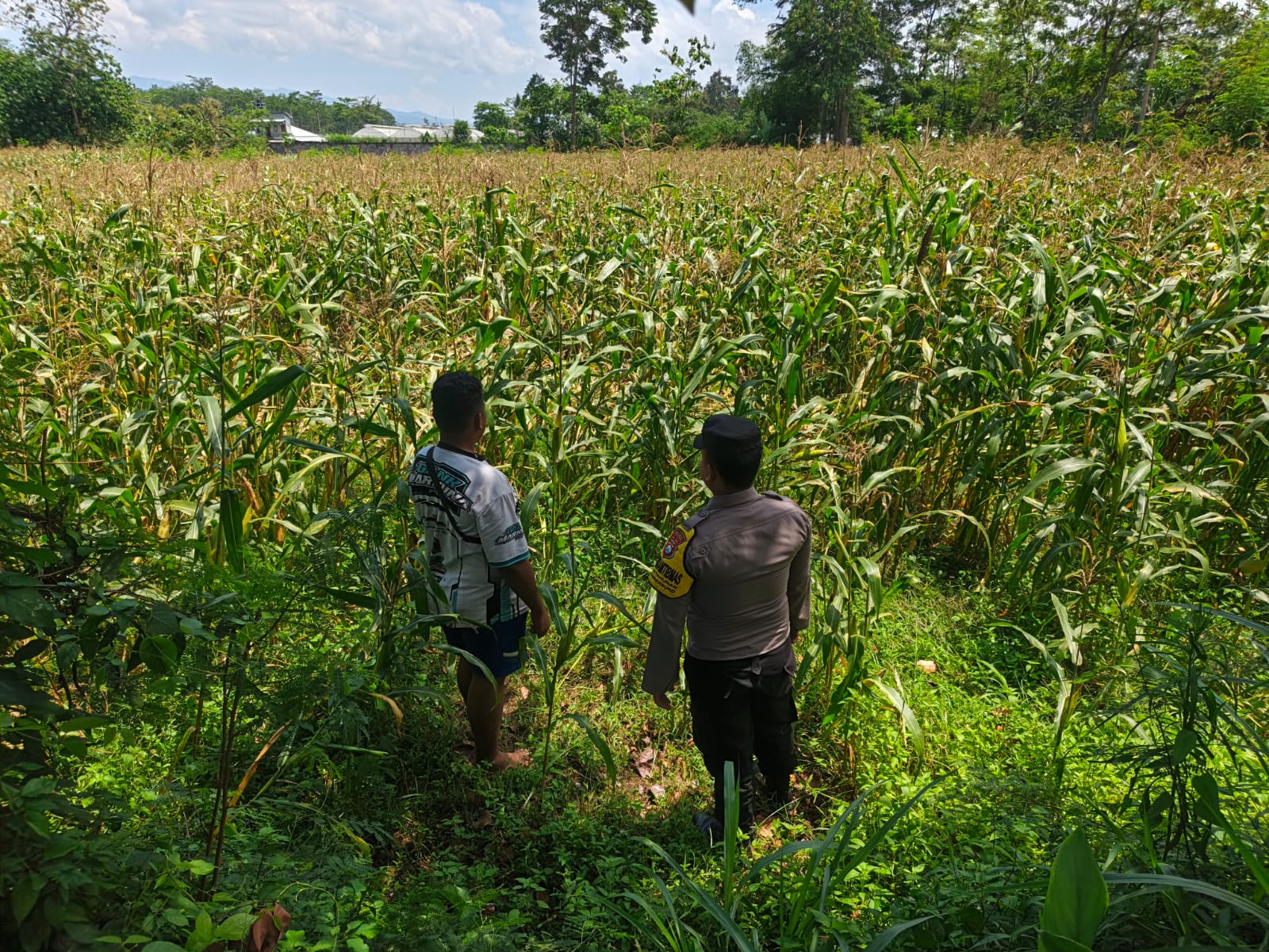 Bhabinkamtibmas Desa Purwosono Serap Aspirasi Petani Dukung Ketahanan Pangan Nasional