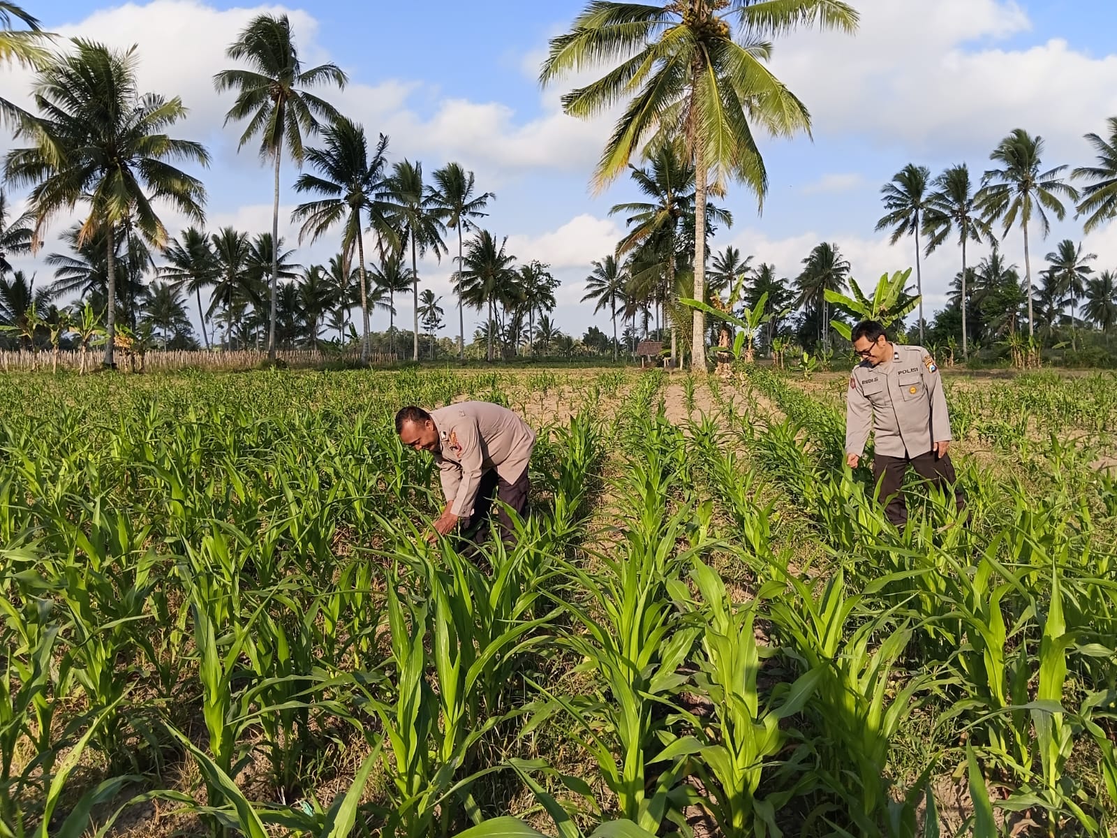 Kapolsek dan Bhabinkamtibmas Polsek Pasrujambe aktif mendukung Program Asta Cita Presiden